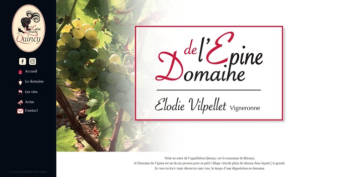 Domaine de l'épine, vins du quincy